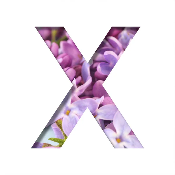 丁香春花字体 字母X在淡紫色鲜艳的春花的衬托下从白色中剪下来 一套装饰自然字体 — 图库照片