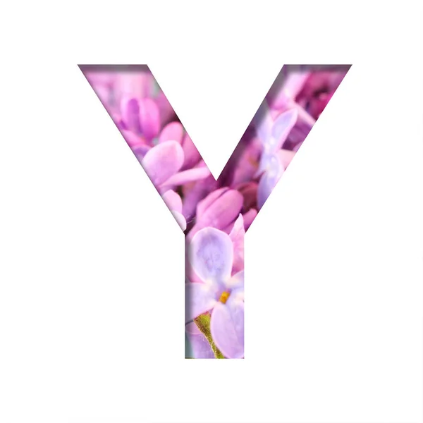 Шрифт Бузкових Весняних Квітів Буква Вирізана Білого Тлі Яскравих Весняних — стокове фото