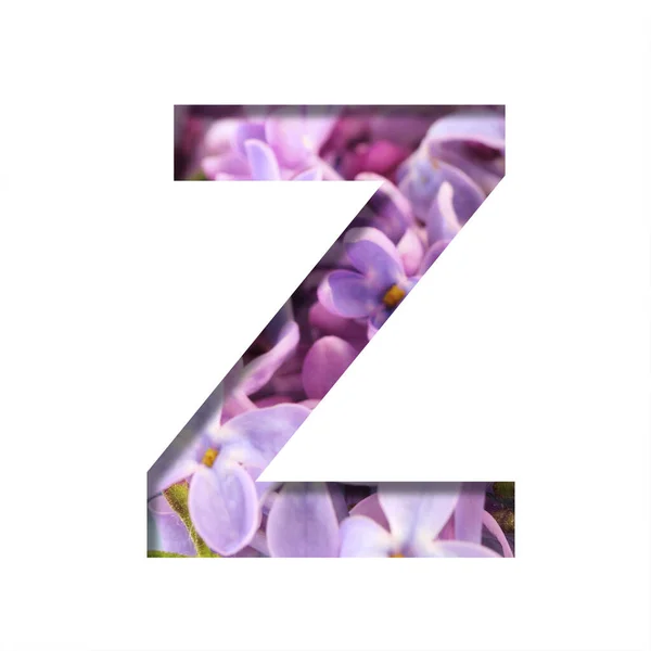 Lilac Spring Flowers Font Letra Cortada Branco Fundo Flores Primavera — Fotografia de Stock