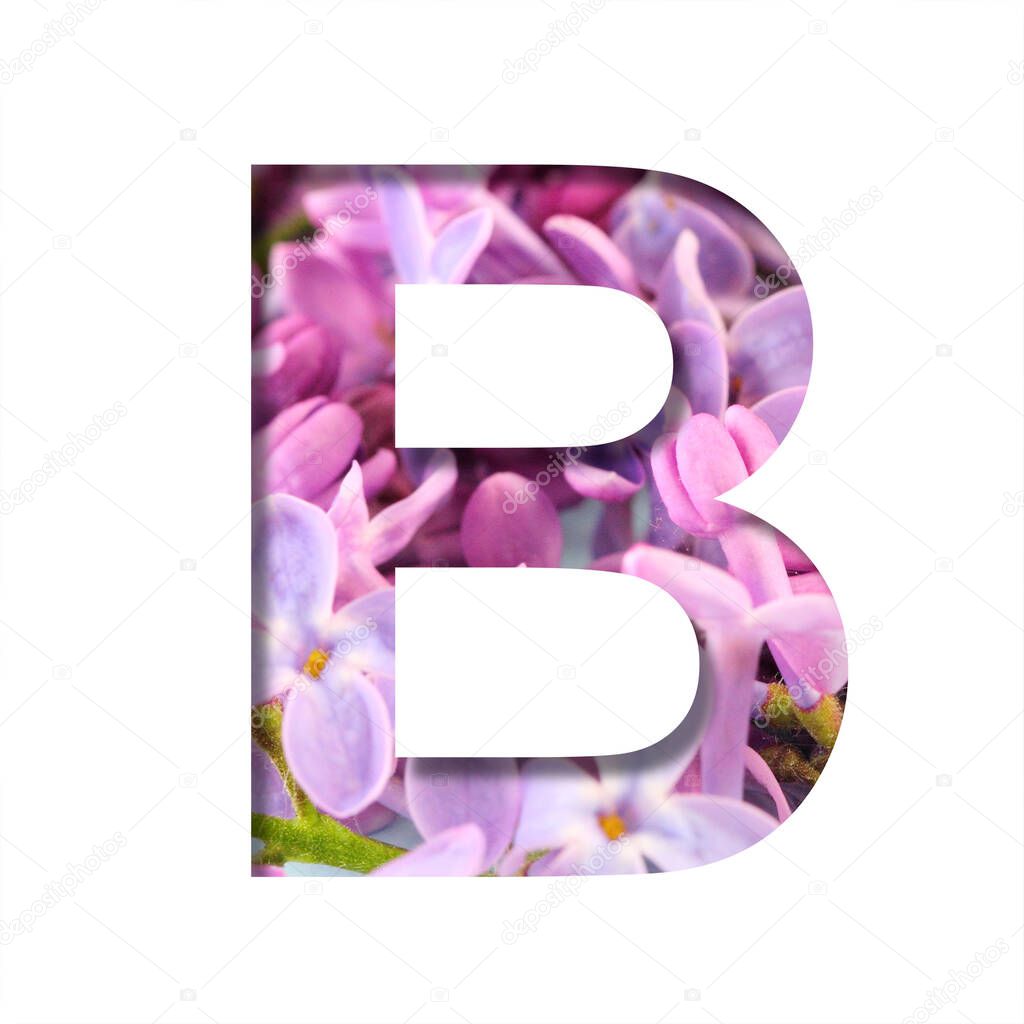 Lilac spring flowers font. The letter B cut out of white on the background of bright spring flowers of lilac. Set of decorative natural fonts.