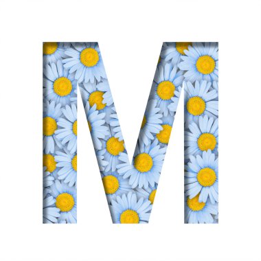 Papatya çiçeği yazı tipi. M harfi güzel mavi papatya desenlerinin arka planında kağıttan kesilmiş. Dekoratif çiçek yazı tipleri ayarlandı.