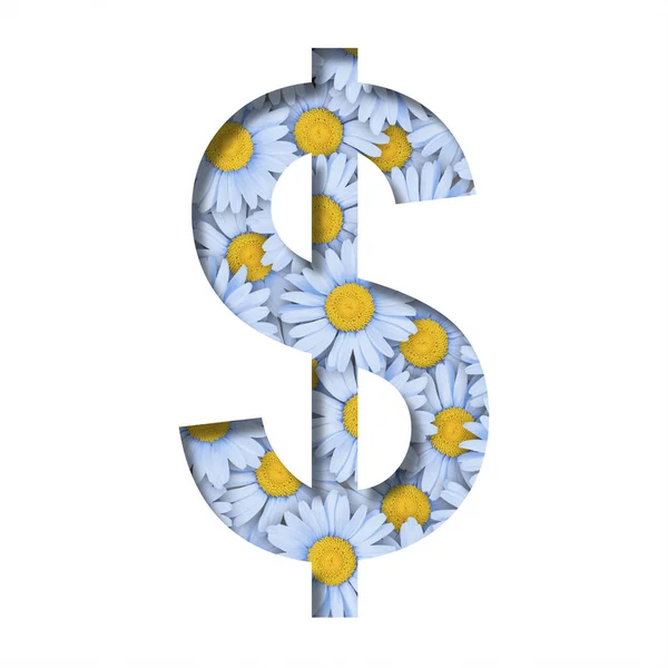Daisy Flower Font Dollar Money Business Symbol Cut Out Paper — Foto de Stock