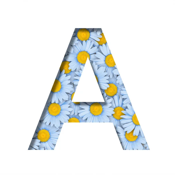 Daisy Flower Font Letter Cut Out Paper Background Pattern Lovely — Stock Fotó