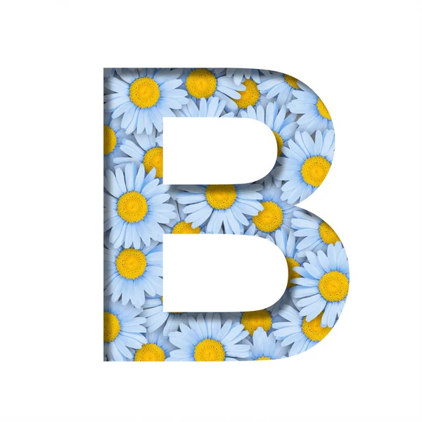 Daisy Flower Font Letter Cut Out Paper Background Pattern Lovely — Photo