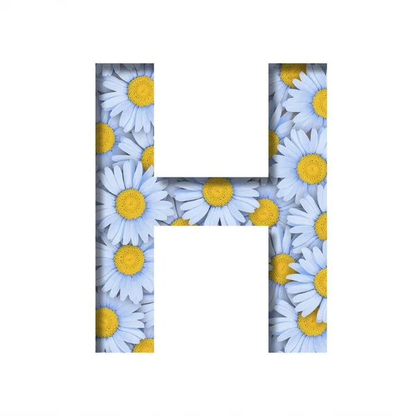 Daisy Flower Font Letter Cut Out Paper Background Pattern Lovely — Photo