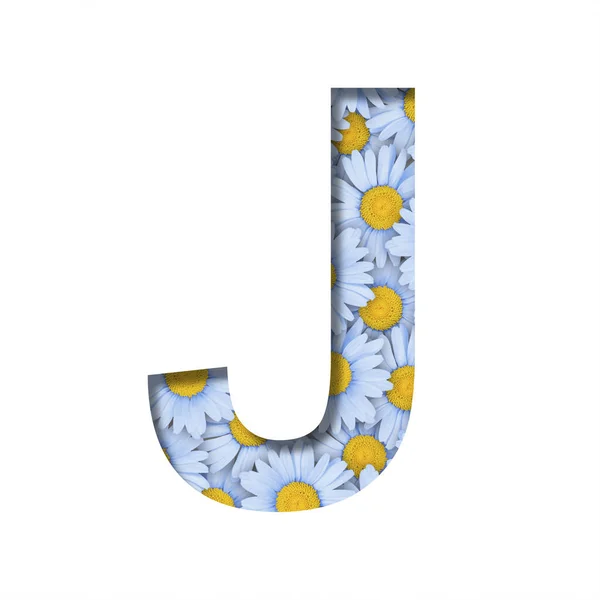 Daisy Flower Font Letter Cut Out Paper Background Pattern Lovely — Photo