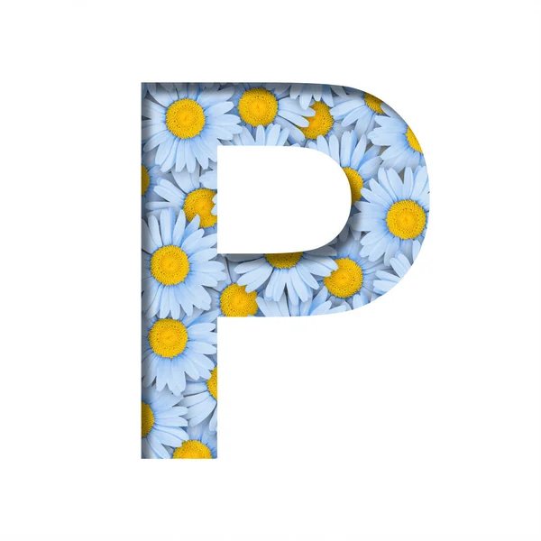 Daisy Flower Font Letter Cut Out Paper Background Pattern Lovely — Stock fotografie