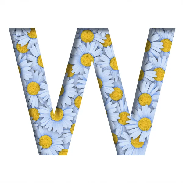 Daisy Flower Font Letter Cut Out Paper Background Pattern Lovely — Photo