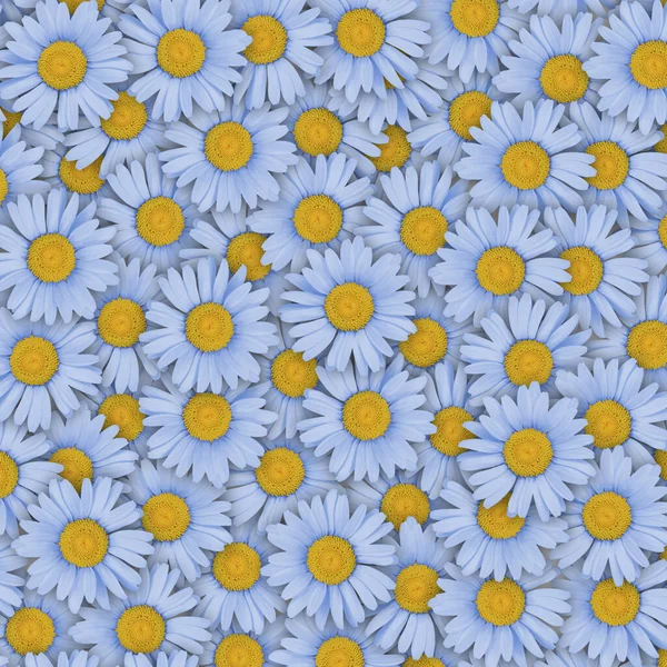 Floral Pattern Bright Summer Daisies Close Flower Composition Seamless — Stock fotografie