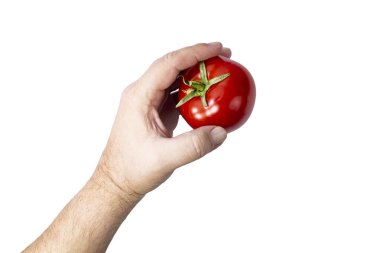 Olgun kırmızı domates insan eliyle yalıtılmış beyaz domates