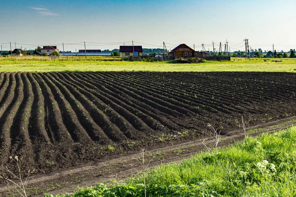 Plowed Fält Mot Bakgrund Byn Byggnader Solig Dag — Stockfoto