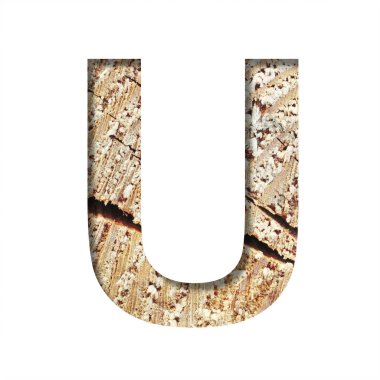 Ahşap kesimi yazı tipi. Çatlaklar ve talaşlarla dolu bir ağacın arka planındaki kağıttan kesilen U harfi. Dekoratif doğal alfabe yazı tipleri kümesi.