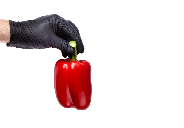 Bright Large Organic Red Sweet Pepper Hand Man Black Glove — Stock Photo, Image