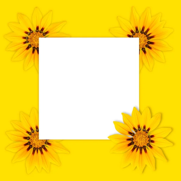 请勿使用白色的文本框和黄色的大花作为邀请函或贺词 顶部视图 — 图库照片