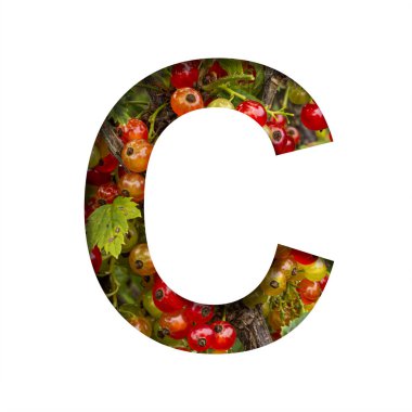 Frenk üzümlü yazı tipi. C harfi, parlak olgun kırmızı frenk üzümü demetlerinin arka planında kâğıttan kesilmiş. Meyve veya çilek dekoratif alfabe, yazı tipi koleksiyonu.