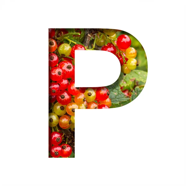 赤スグリのフォント 赤いスグリの果実の明るい熟した束の背景にある紙からPという手紙が切り取られました 果物やベリーの装飾的なアルファベット フォントコレクション — ストック写真