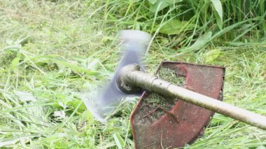 Çim biçme makinesinin çelik diski kesilen çimenlerin arka planında farklı hızlarda döner ve durur.