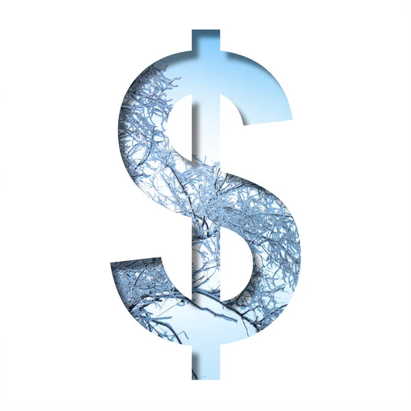 Winter Lettertype Dollar Money Business Symbool Gesneden Uit Papier Achtergrond — Stockfoto