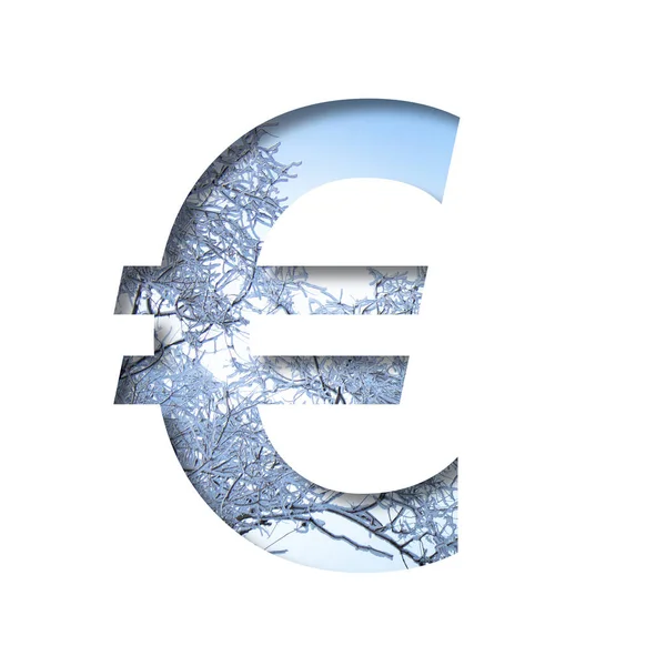Fonte Winter Euro Dinheiro Símbolo Negócios Cortado Papel Fundo Céu — Fotografia de Stock