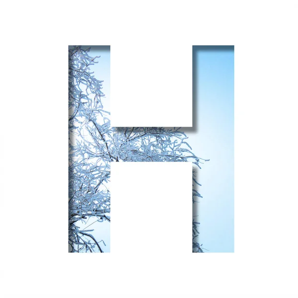 冬天的信在寒冷的冬日阳光明媚的日子里 字母H在冬日的天空和白雪覆盖的树枝的背景下从纸上剪下来 装饰性质字母表 字体集合 — 图库照片