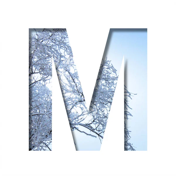 冬天的信在寒冷的冬日阳光明媚的日子里 字母M在冬日的天空和白雪覆盖的树枝的背景下从纸上剪下来 装饰性质字母表 字体集合 — 图库照片