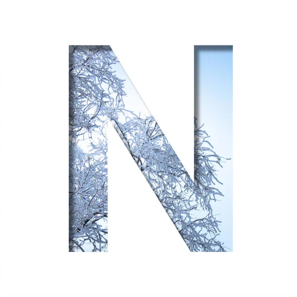 서리가 내리는 겨울날 눈덮인 나뭇가지를 배경으로 종이를 내었다 장식적 알파벳 — 스톡 사진