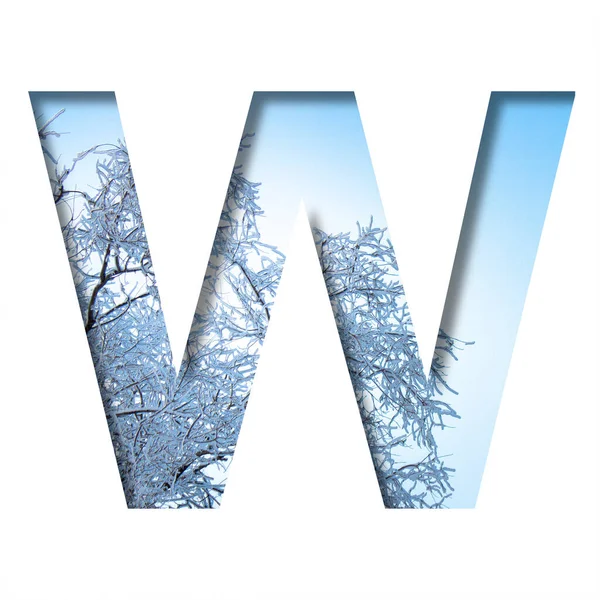冬の手紙 冬の空を背景にW字が切り取られ 雪に覆われた木の枝が霜の多い冬の晴れた日に切り取られました 装飾的な性質のアルファベット フォントコレクション — ストック写真