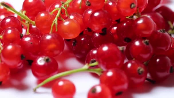 Bunches Bright Ripe Red Currant Berries Moving Turntable White Background — Stock Video