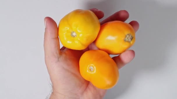 Mans Hand Toont Drie Rijpe Sappige Gele Biologische Tomaten Close — Stockvideo