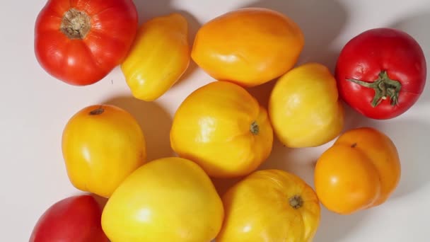 Los Tomates Amarillos Maduros Encuentran Sobre Fondo Blanco Mano Del — Vídeo de stock