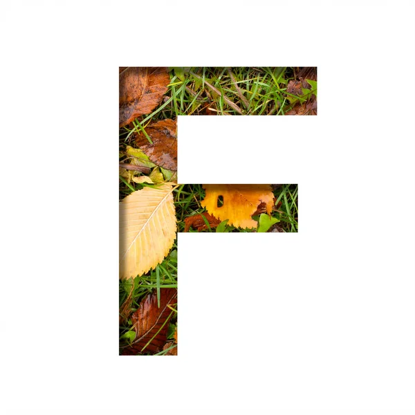 Νωρίς Φθινόπωρο Γραμματοσειρά Γράμμα Κόβεται Από Χαρτί Φόντο Πράσινου Χόρτου — Φωτογραφία Αρχείου
