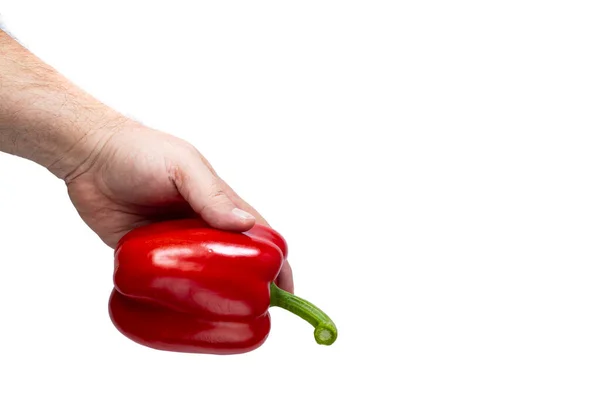 Röd Paprika Man Hand Isolerad Vitt Kopiera Utrymme — Stockfoto