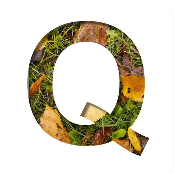 初夏のフォント 手紙Qは 木の黄色の秋の葉 初秋と緑の草の背景に紙から切り取られました 装飾的な性質のアルファベット フォントコレクション — ストック写真
