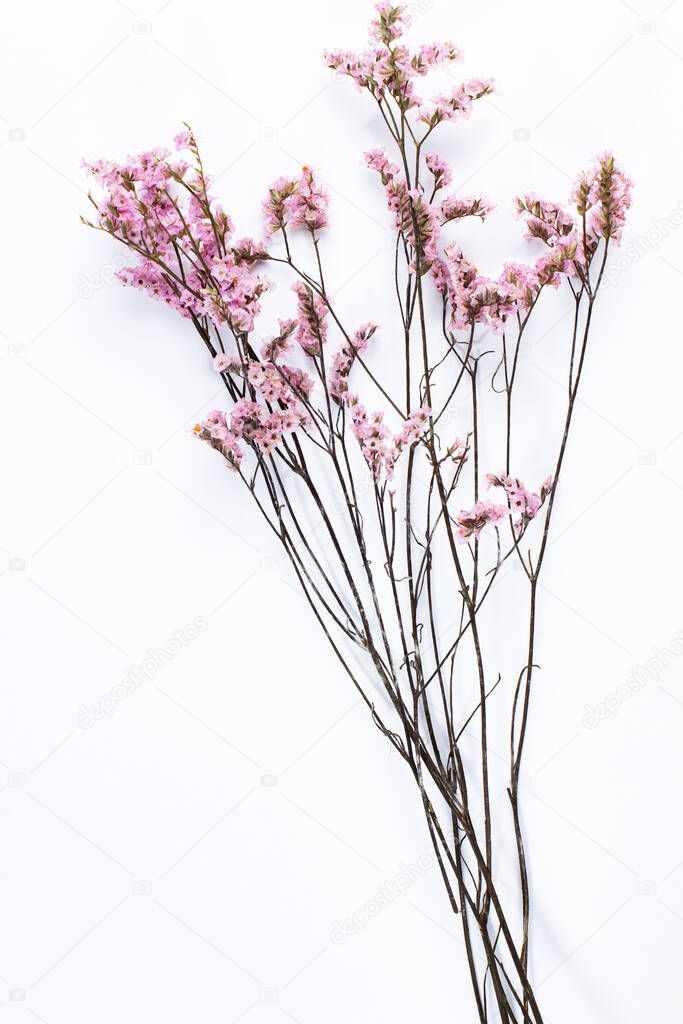 Bouquet of branches of delicate spring pink flowers on a white background close-up isolate.