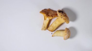 Erkek eli masaya taze mantar serer, yakın plan, beyaz arka plan..