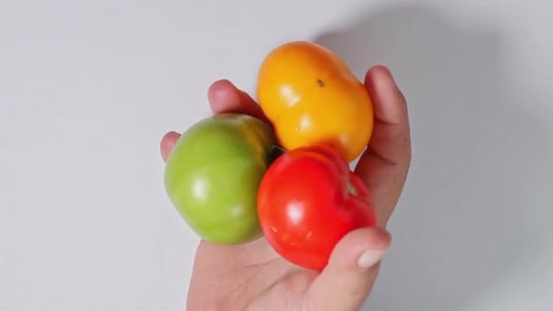 Trzy Pomidory Różnych Kolorach Dłoni Mężczyzny Białym Tle Zbliżenie — Wideo stockowe