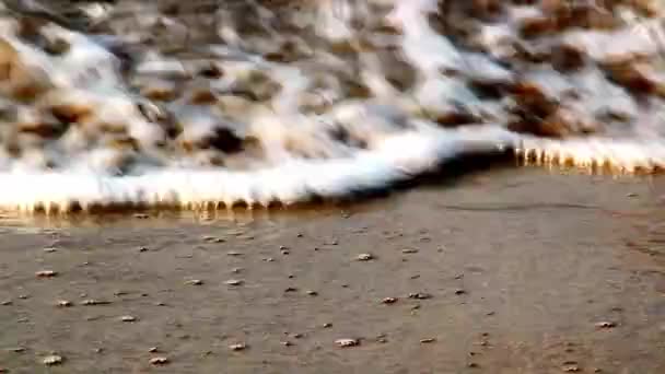 Costa Arenosa Del Mar Lavada Por Las Olas Cerca Luz — Vídeo de stock