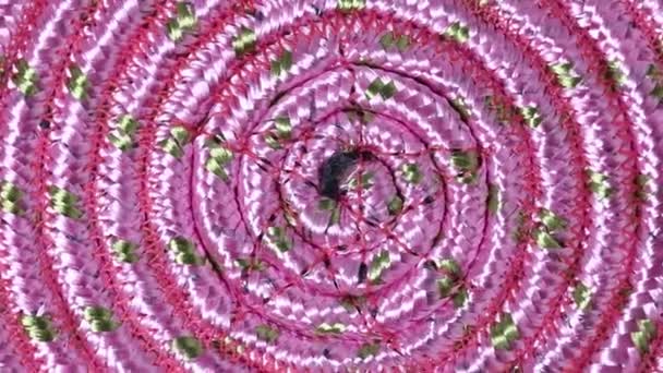 Ljusrosa Psykedelisk Spiral Cirkel Roterar Närbild — Stockvideo