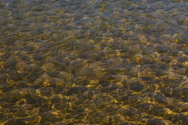 Açık bir nehirde su yüzeyinin dokusu, parlak güneşli bir günde taş taban parlar.
