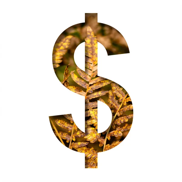 Dollar Money Business Symbol Cut White Paper Autumn Fern Leaves — Stock Photo, Image