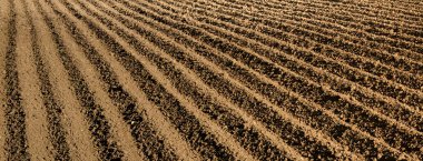 Derin çizgilerle sürülmüş tarla, geniş bayrak.