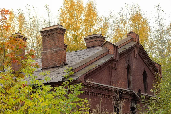 Tetto Con Camini Vecchio Edificio Mattoni Alberi Con Fogliame Autunnale — Foto Stock