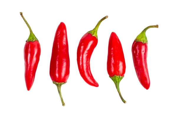 Hot Chilli Papričky Bílé Izolované Horní Pohled — Stock fotografie