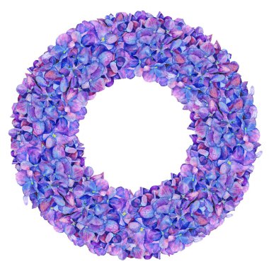 Ortanca. Çerçeve çiçeklerden yapılmış. Çember şeklinde çiçekler. Davetiyeler ve tatiller için mor taç yaprakları suluboya çizimi