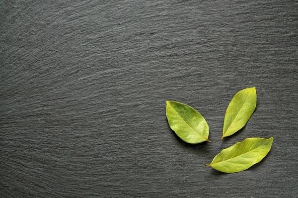 Semiessiccate alloro foglie di alloro su pietra di ardesia nera con spazio copia per il testo come sfondo cibo modello. Vista superiore piatta — Foto Stock