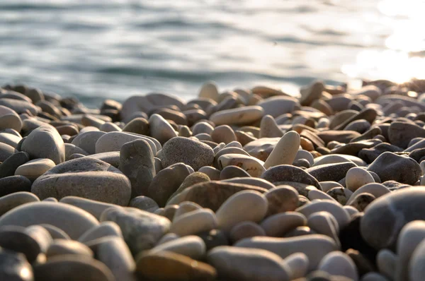 Meer Kiesstrand oder Strand mit Meerwasser bei Sonnenuntergang — Stockfoto