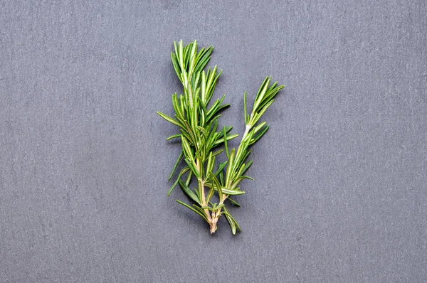 Gri kayrak taş biberiye dalı