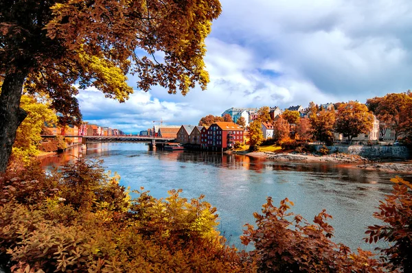 Vista a través del follaje hasta el río Nidelva, ciudad de Trondheim, Noruega — Foto de Stock