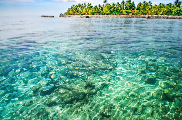 Тропический остров и море с подводной морской жизнью — стоковое фото