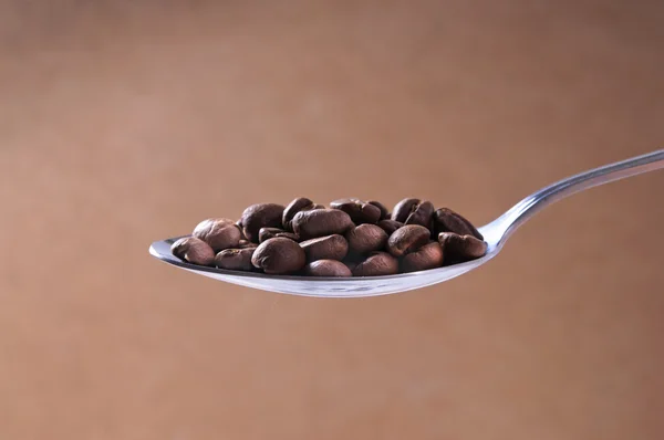Steel spoon of roasted coffee beans on light brown background